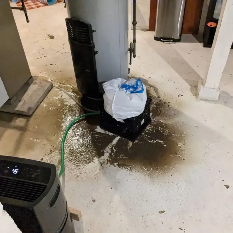 Sewage Backup Cleanup Service in Roger Mills County, OK